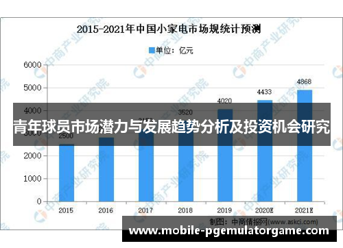 青年球员市场潜力与发展趋势分析及投资机会研究