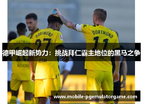 德甲崛起新势力:挑战拜仁霸主地位的黑马之争 德甲崛起新势力:挑战拜仁霸主地位的黑马之争