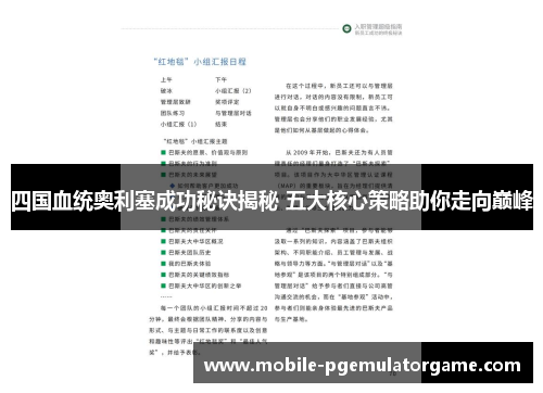 四国血统奥利塞成功秘诀揭秘 五大核心策略助你走向巅峰