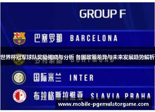 世界杯冠军球队奖励揭晓与分析 各国政策差异与未来发展趋势解析