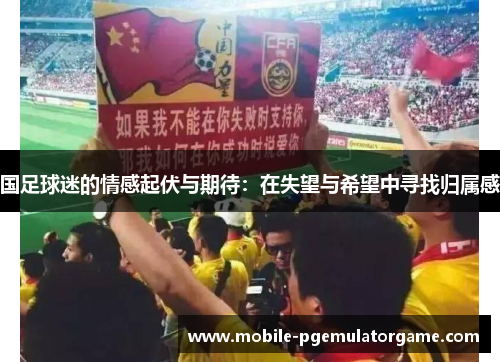 国足球迷的情感起伏与期待：在失望与希望中寻找归属感