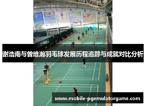 谢浩南与曾维瀚羽毛球发展历程追踪与成就对比分析