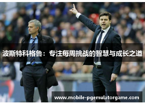 波斯特科格鲁：专注每周挑战的智慧与成长之道